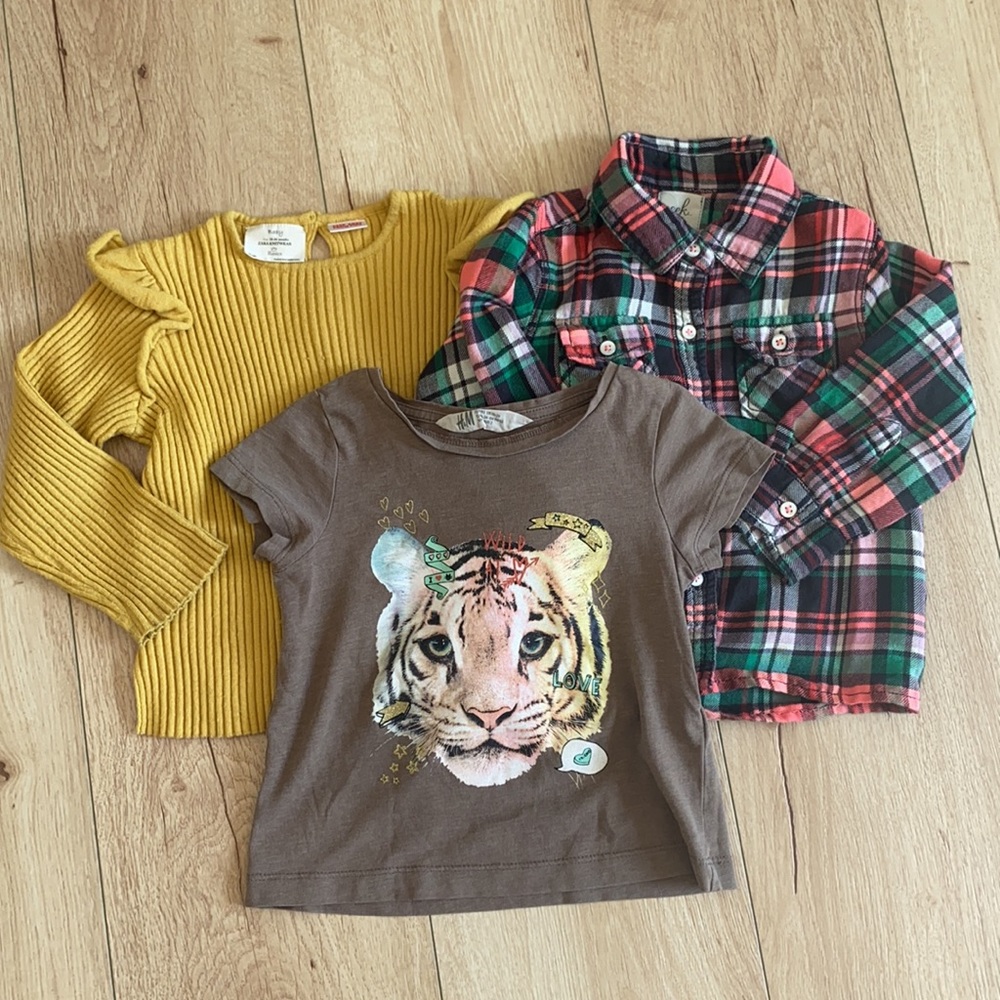 Flannel shirt and tiger tee size 18-24 months.